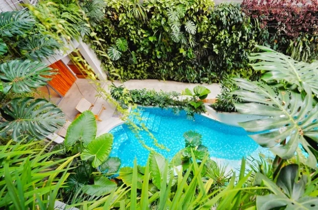 Dịch vụ Bảo dưỡng & Tái tạo Vườn cây (02)