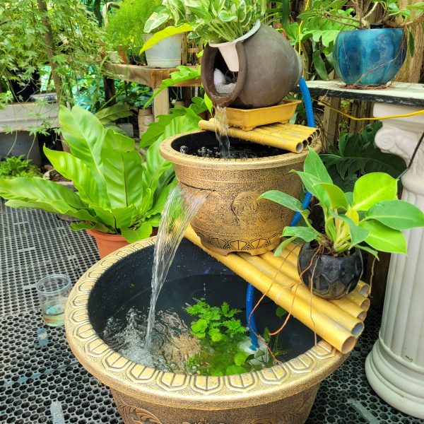 Tiểu cảnh chậu thủy sinh | Cần Thơ